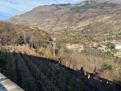 in Comune di Susa – Strada Statale 24 del Monginevro s.n.: Terreno agricolo: terreno agricolo in pendenza in cui e’ posizionato un traliccio ripetitore di proprieta’ di terzi con diritto superficie e proprieta’ superficiaria per anni 21 a far data dal 21.07.2016.Coerenze: Strada Vicinale, particelle 266-75-335-64-63 del  Foglio 2.