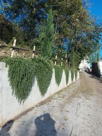 Piena proprietà di porzione di casa terra cielo disposta...