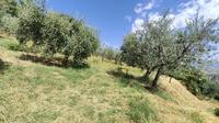 MONTEFALCO (PG) LOC. COLLE SAN CLEMENTE LOTTO 4/b