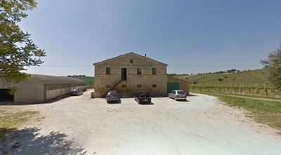Terreni adibiti a Vigna, casa colonica, capannone e 4 silos a San Marcello...