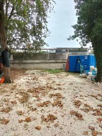 1/1 di porzione di fabbricato residenziale...