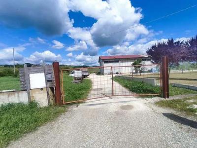 A1) quota 1/1 di fabbricato terra cielo ad uso servizio agricolo, privo di agibilità, disposto su un unico livello sito nel Comune di Meldola (FC), Strada Meldola – Rocca delle Caminate n. 6/N, costituito da un maggiore vano uso deposito di mq. 268 ca. e due piccoli locali uso ripostiglio e servizio igienico, oltre a tettoia metallica esterna non urbanisticamente assentita, occupato; A2) quota 1/1 terreno agricolo di mq. 23.241, occupato; A3) quota 1/2 terreno di accesso alla via pubblica di mq. 244