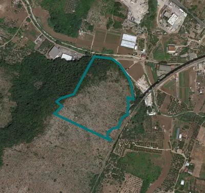 RACCOLTA OFFERTE - Terreni agricoli a Gaeta (LT), Via Sant'Angelo, Località Pontone/Campitello - LOTTO 8 - vendita telematica sulla piattaforma www.gobidreal.it n.32335.8