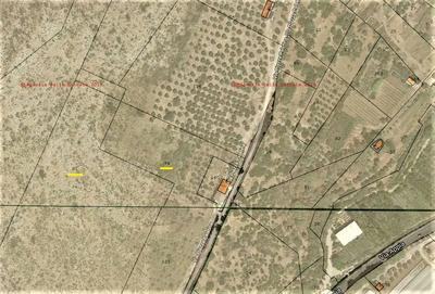 appezzamenti di terreno ubicati nel comune di Terracina (Lt), via Piazza Palatina per complessivi 19.000 mq circa