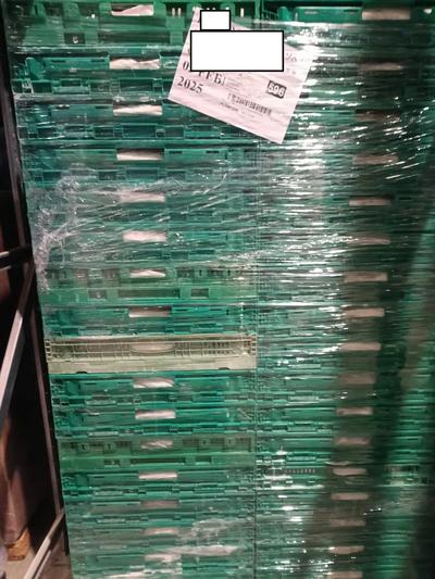 n.7 pallets di cagliata di bufala congelata, come da relazione di stima allegata.