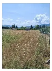 Appezzamenti di terreno pianeggianti che formano un...