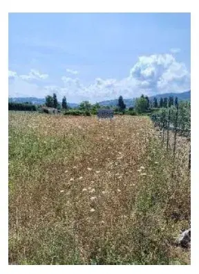 Appezzamenti di terreno pianeggianti che formano un unico corpo a destinazione edificabile