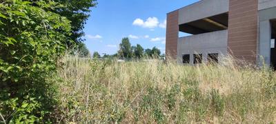 Liquidazione Giudiziale Pasafin Srl R.G. 244/2025 - Rivanazzano Terme (PV)Via Strada Privata Archimede SncCatastalmente via TortonaCapannone industriale/ artigianale in corso di costruzione- Fg.16, part. 739 cat.F/3 superficie commerciale mq. 1.192,10Immobile libero ai fini della Procedura