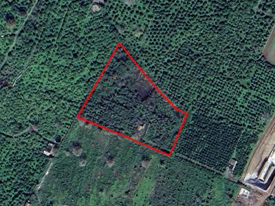 Terreno edificabile turistico produttivo di 10.919 mq sito a Fiumefreddo di...