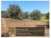 Gli appezzamenti sono ubicati in agro del Comune di...