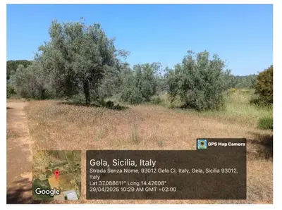 Gli appezzamenti sono ubicati in agro del Comune di Gela, precisamente presso la contrada Feudo Nobile. Il lotto consta delle particelle 6, 7, 8, 9, 35, 141, 145 tutte confinanti tra loro, e poco distanti le p.lle 52 e 169, del foglio di mappa 171 a vocazione orticola olivicola giace su tre ampi piani di campagna pianeggianti ben collegate, facilmente percorribili e funzionali alle attività agricole. 
