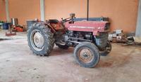 (Lotto n.11) - Trattrice agricola a 2 RM marca MASSEY...