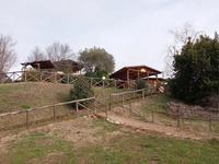 Struttura adibita ad agriturismo a Torricella Sicura...