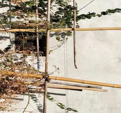 in Montevarchi, Viale Armando Diaz n. 95, al piano secondo di una palazzina bifamilare, un appartamento ad uso di civile abitazione composto da ingresso, cucina con balcone, pranzo, sala, studio e due camere, vani ampi e disimpegnati.