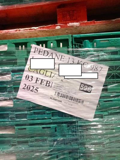 n.7 pallets di cagliata di bufala congelata, come da relazione di stima allegata.