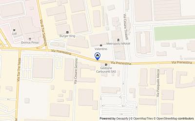 Mappa della zona: VIA PRENESTINA, 00155, Roma, Roma