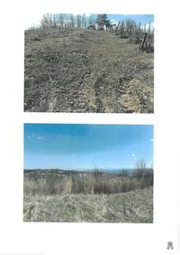 terreni ubicati in zona prettamente collinare 