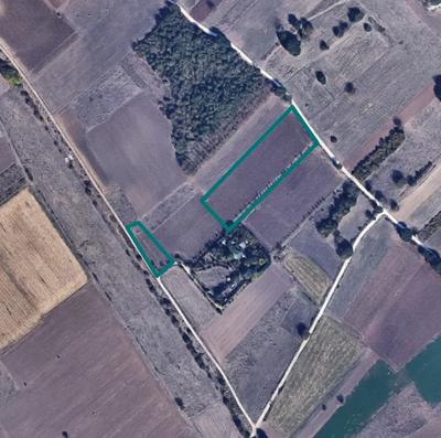 Terreni agricoli ad Ofena (AQ) - QUOTA 1/2 - Vendita n.33277