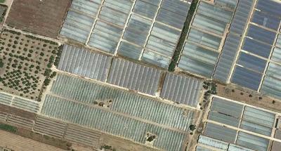 1/1 di proprietà di terreno in Noto, c.da Cipolluzzi esteso Ha 1.76.20 ed identificato al C.T. al fg. 426, p.lle 396, 397, 398 e 399