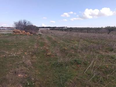 Piena proprietà di terreno agricolo sito in Mazara del...