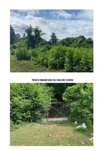 Immobile composto da un terreno della superficie complessiva di circa 4 ettari (quattro ettari)con sovrastanti strutture murarie e serre, queste ultime inutilizzate o adibite a deposito.