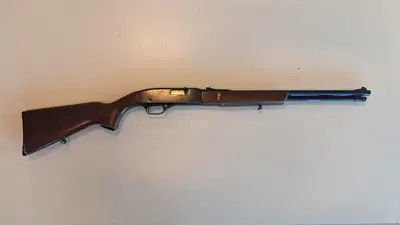 (Lotto n.20) - Carabina semiautomatica (ARMA COMUNE) marca WINCHESTER catalogo 6669 modello 290 calibro 22LR a canna rigata . 