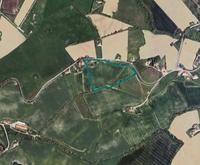 Casa colonica con terreni annessi a Monte Urano (FM) -...