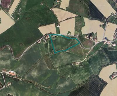 Casa colonica con terreni annessi a Monte Urano (FM) - vendita telematica...
