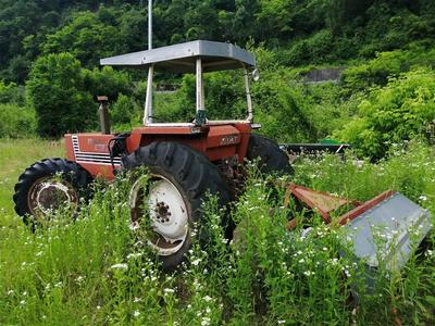 TRATTRICE AGRICOLA FIAT MODELLO 880 DT