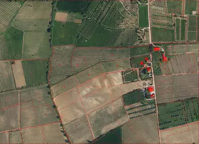 Piena proprietà sull'intero di appezzamenti di terreno, tenuti a coltura a...