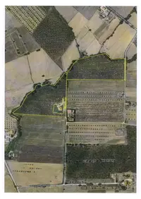 Intera piena proprietà di porzione di azienda agricola...