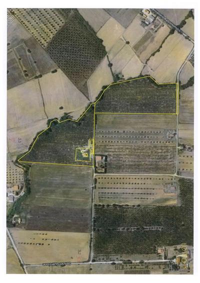 Intera piena proprietà di porzione di azienda agricola costituita da ABITAZIONE di mq 152 circa calpestabili, oltre ad ANNESSI RURALI (fienile, porcilaia e tettoia auto) e da TERRENI AGRICOLI di varie qualità colturali della superfice di ha 7.95.32. Il tutto posto in Comune di Grosseto, Loc. Poggio alle Conce.