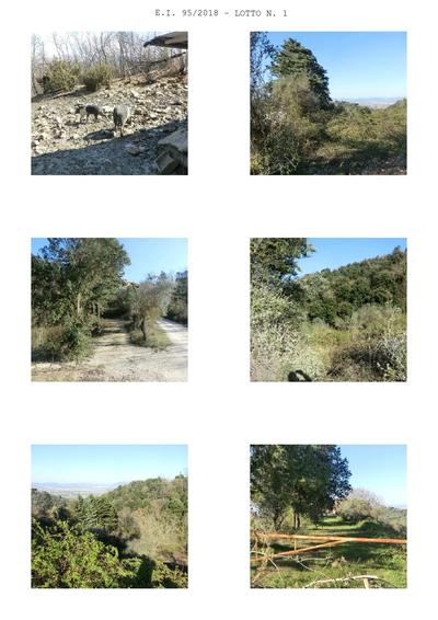 Fabbricato rurale ristrutturato elevato su due piani fuori terra, adibito a...