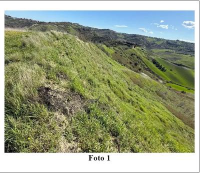 IN COMUNE DI CASALINCONTRADA (CH): piena e perfetta proprietà per una quota pari all’intero del terreno della superficie complessiva di mq 17.685