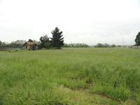 Cornate d'Adda via Castello - Lotto 12 - Terreno agricolo