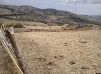 Fondo rustico e fabbricati di antica costruzione ed in...