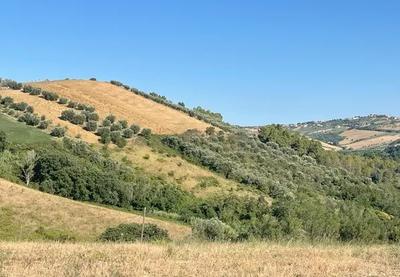 Bene 1: diritti della piena proprietà di un fabbricato di civile abitazione sito in Tortoreto (Te), Via Fondovalle Salinello n. 1, con area annessa e terreni retrostanti.  La superficie lorda del manufatto è pari a complessivi 472 mq.Bene 2: diritti della piena proprietà di appezzamenti di terreno siti in Tortoreto (Te), C.da Ripe. Trattasi di appezzamenti di terreno di natura agricola, in zona collinare . La superficie lorda complessiva è pari a 3.340 mq.