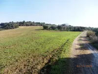 Piena proprietà di terreni agricoli in Agro di...