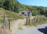 Avviso di vendita immobiliare - Lotto formato dai...