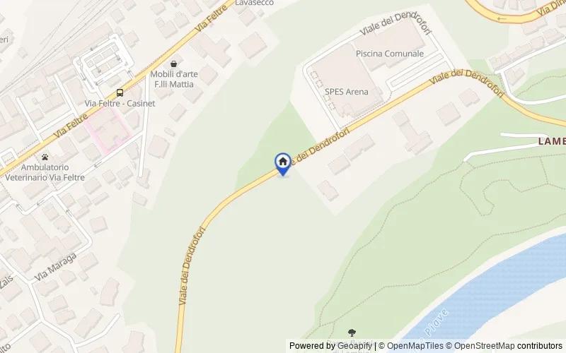 Mappa della zona: Viale Dei Dendrofori, 32100, Belluno, Belluno