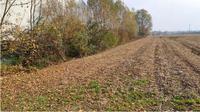 Terreno agricolo a forma di trapezio rettangolo con le...