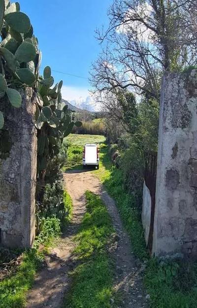 Lotto 7: Terreno siti nel Comune di Fordongianus e censito al Catasto...