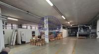 Liquidazione Giudiziale Chiorino Technology Srl R.G....