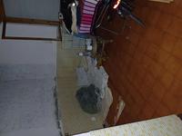 Diritti di piena ed esclusiva proprietà per la quota di...