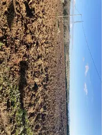 Intera proprietà dei terreni siti in agro di Piazza Armerina, c.da Camemi Elsa, foglio 272 part. 414, consistenza 1 ettaro, 39 are e 69 centiare; part. 426, consistenza 89 are e 29 centiare; part. ...