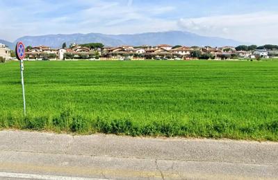 Quota 6/56 di terreno a Bassano del Grappa (VI), località Santa Croce, tra via Marcon e via Don Didimo Mantiero. Zona periferica. Superficie catastale di 11777 mq. Forma rettangolare pianeggiante. Urbanisticamente in Aree per attrezzature sportive e verdi. Indice edificabilità di 0,8 mq/mq (50% per attrezzature coperte). Condizioni buone Per maggiori informazioni visitare il portale www.quimmo.it - Codice annuncio 2537428