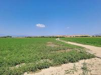 1/1 di terreno agricolo di mq. 19.410, composto da...