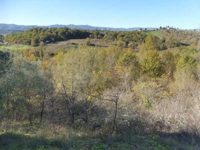PROPRIETA' SU VARI APPEZZAMENTI DI TERRENO AGRICOLO BOSCHIVO PER COMPLESSIVI MQ 147.105