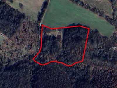 Terreno agricolo di 19.810 mq sito a Colli sul Velino...