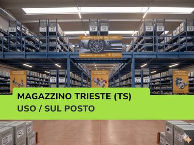 Trieste - Uso / Sul Posto - Magazzino Ricambi Auto e Strumentazione Officina - vendita telematica sulla piattaforma www.gobid.it n.32477